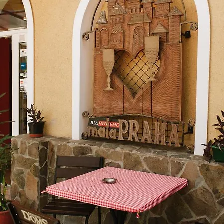 ホテル Mala Praha 3*