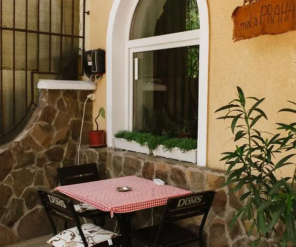 Hotel Mala Praha 3*